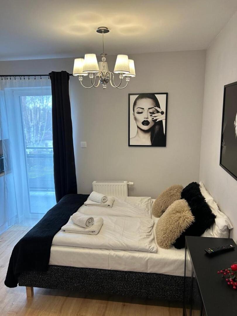 Apartamenty Everysky - Wilcza 3F-1 Karpacz Extérieur photo